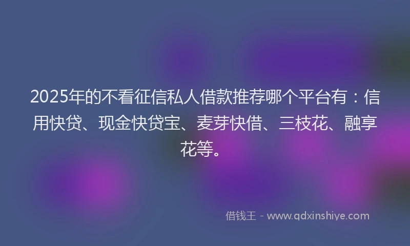2025年的不看征信私人借款推荐哪个平台有：信用快贷、现金快贷宝、麦芽快借、三枝花、融享花等。