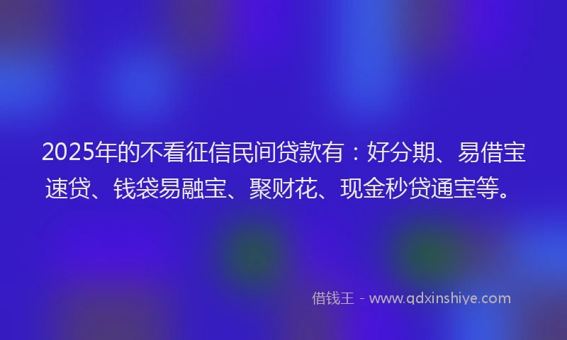 2025年的不看征信民间贷款有：好分期、易借宝速贷、钱袋易融宝、聚财花、现金秒贷通宝等。