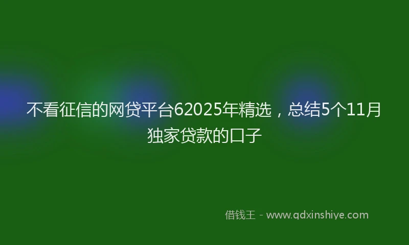 不看征信的网贷平台62025年精选，总结5个11月独家贷款的口子