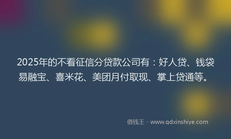2025年的不看征信分贷款公司有：好人贷、钱袋易融宝、喜米花、美团月付取现、掌上贷通等。