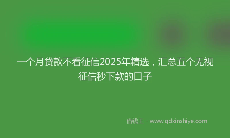 一个月贷款不看征信2025年精选，汇总五个无视征信秒下款的口子