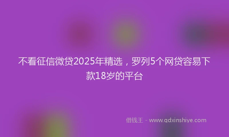 不看征信微贷2025年精选，罗列5个网贷容易下款18岁的平台