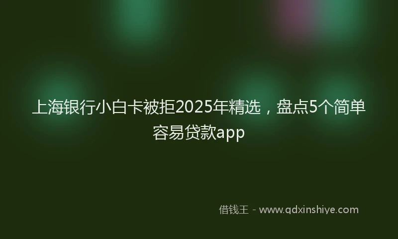 上海银行小白卡被拒2025年精选，盘点5个简单容易贷款app