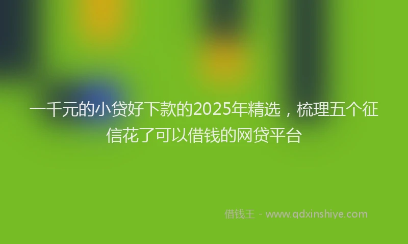一千元的小贷好下款的2025年精选，梳理五个征信花了可以借钱的网贷平台