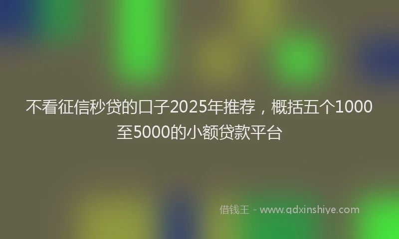 不看征信秒贷的口子2025年推荐，概括五个1000至5000的小额贷款平台