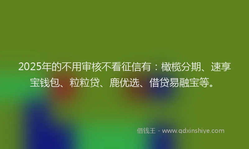 2025年的不用审核不看征信有：橄榄分期、速享宝钱包、粒粒贷、鹿优选、借贷易融宝等。