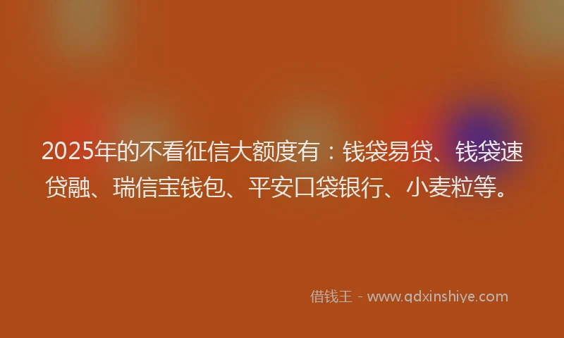 2025年的不看征信大额度有：钱袋易贷、钱袋速贷融、瑞信宝钱包、平安口袋银行、小麦粒等。