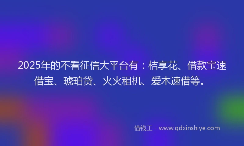 2025年的不看征信大平台有：桔享花、借款宝速借宝、琥珀贷、火火租机、爱木速借等。