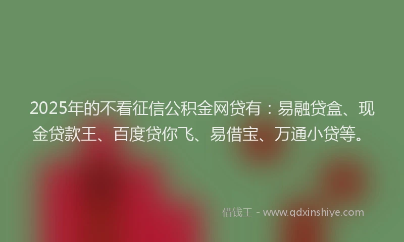 2025年的不看征信公积金网贷有：易融贷盒、现金贷款王、百度贷你飞、易借宝、万通小贷等。