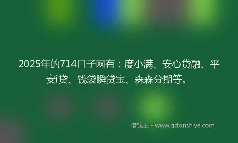 2025年的714口子网有：度小满、安心贷融、平安i贷、钱袋瞬贷宝、森森分期等。