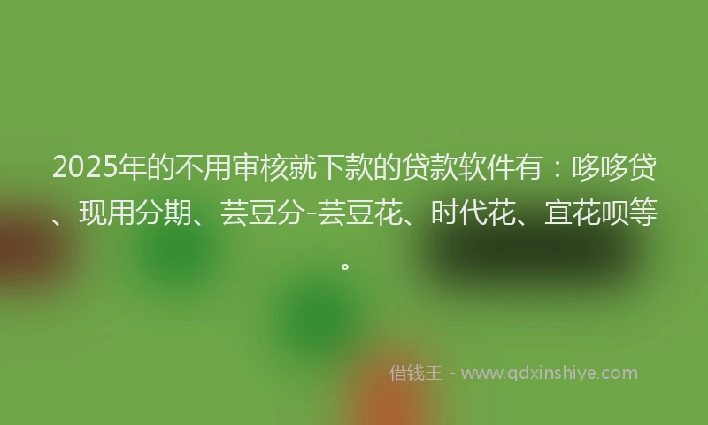 2025年的不用审核就下款的贷款软件有：哆哆贷、现用分期、芸豆分-芸豆花、时代花、宜花呗等。
