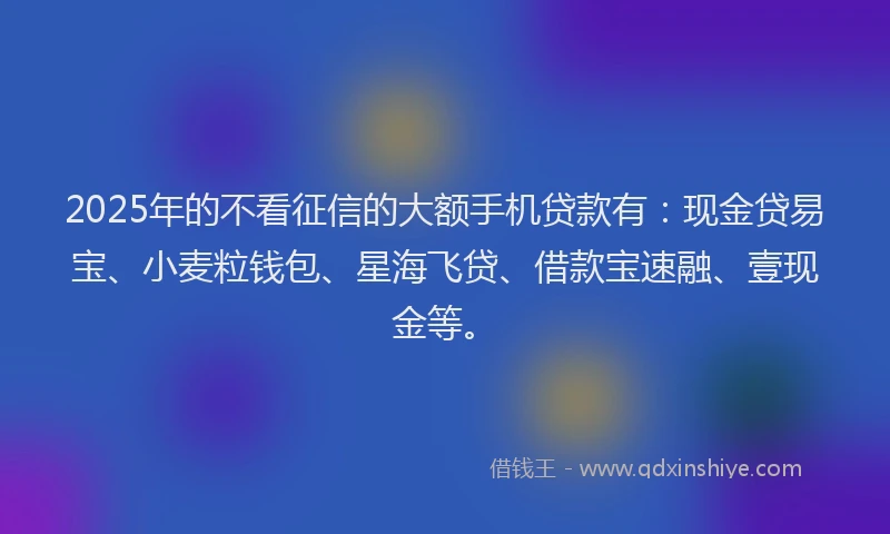 2025年的不看征信的大额手机贷款有：现金贷易宝、小麦粒钱包、星海飞贷、借款宝速融、壹现金等。