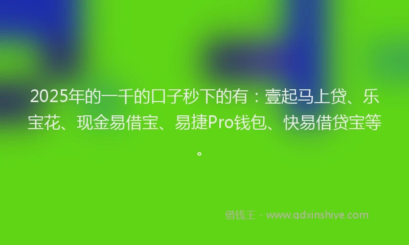 2025年的一千的口子秒下的有：壹起马上贷、乐宝花、现金易借宝、易捷Pro钱包、快易借贷宝等。