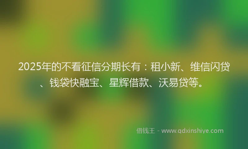 2025年的不看征信分期长有：租小新、维信闪贷、钱袋快融宝、星辉借款、沃易贷等。