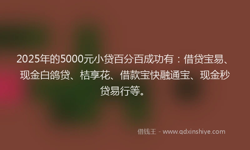 2025年的5000元小贷百分百成功有：借贷宝易、现金白鸽贷、桔享花、借款宝快融通宝、现金秒贷易行等。