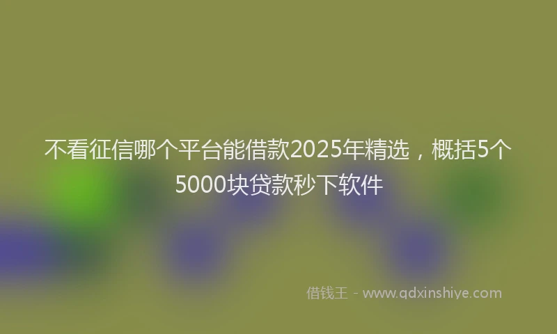 不看征信哪个平台能借款2025年精选，概括5个5000块贷款秒下软件