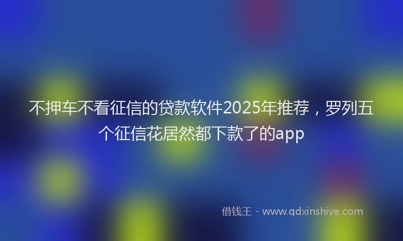 不押车不看征信的贷款软件2025年推荐，罗列五个征信花居然都下款了的app