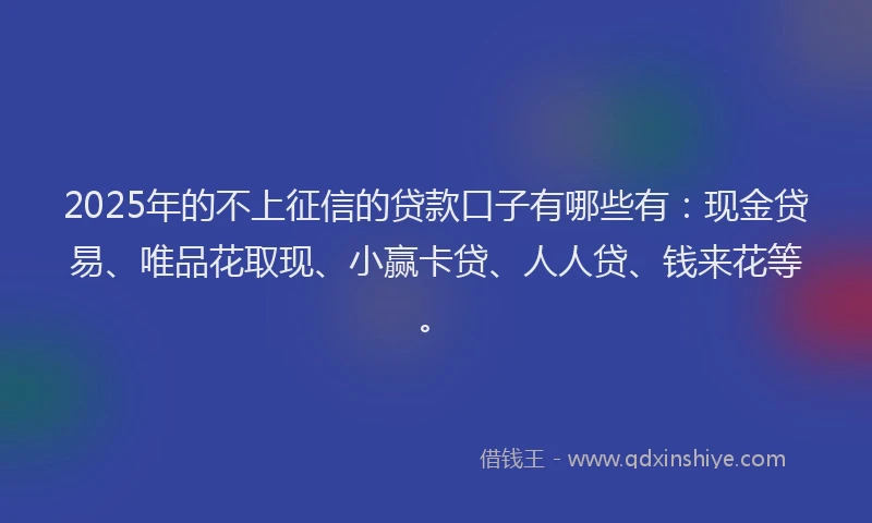 2025年的不上征信的贷款口子有哪些有：现金贷易、唯品花取现、小赢卡贷、人人贷、钱来花等。