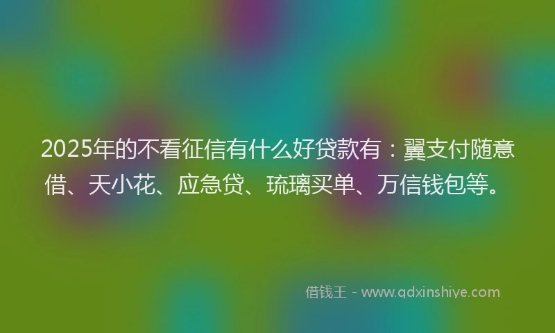 2025年的不看征信有什么好贷款有：翼支付随意借、天小花、应急贷、琉璃买单、万信钱包等。