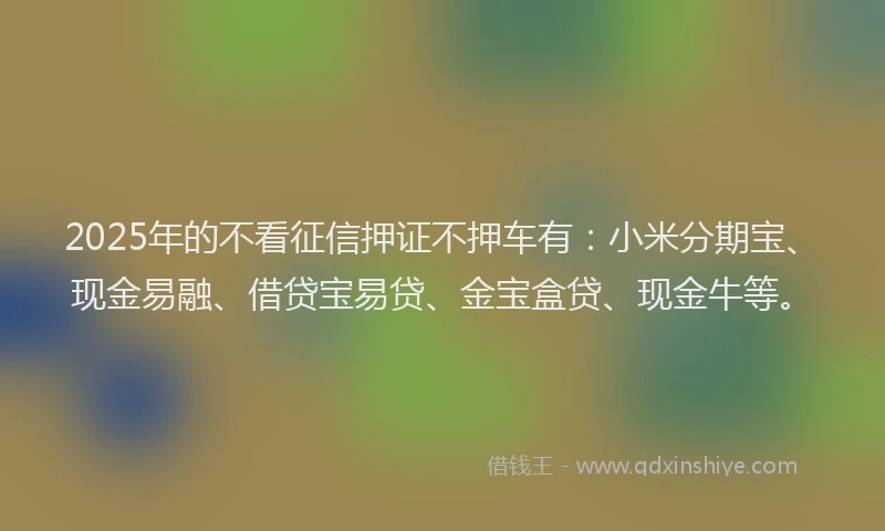 2025年的不看征信押证不押车有：小米分期宝、现金易融、借贷宝易贷、金宝盒贷、现金牛等。