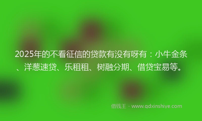 2025年的不看征信的贷款有没有呀有：小牛金条、洋葱速贷、乐租租、树融分期、借贷宝易等。