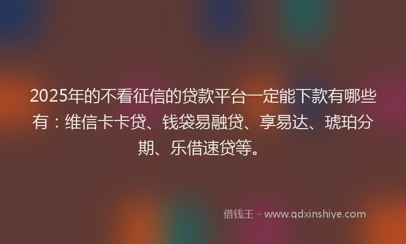 2025年的不看征信的贷款平台一定能下款有哪些有：维信卡卡贷、钱袋易融贷、享易达、琥珀分期、乐借速贷等。