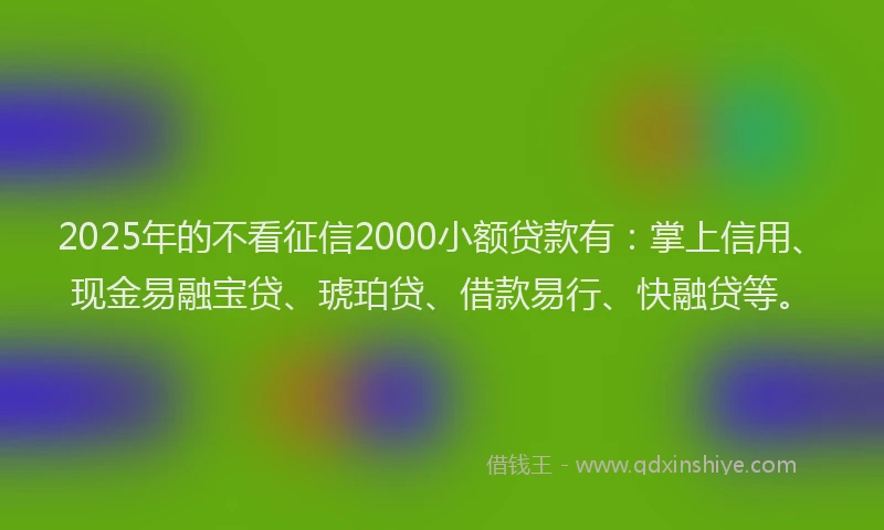 2025年的不看征信2000小额贷款有：掌上信用、现金易融宝贷、琥珀贷、借款易行、快融贷等。