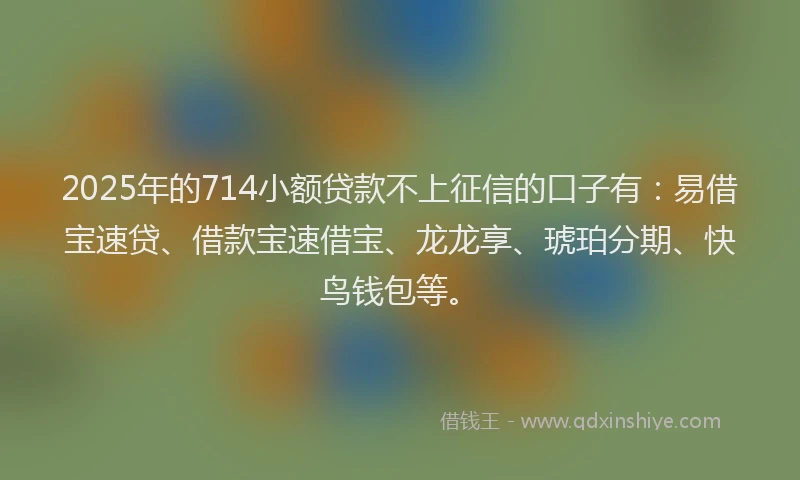 2025年的714小额贷款不上征信的口子有：易借宝速贷、借款宝速借宝、龙龙享、琥珀分期、快鸟钱包等。
