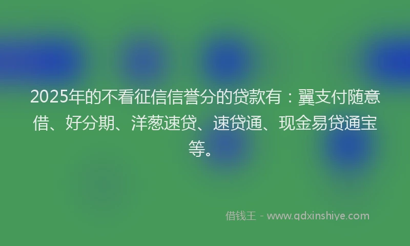 2025年的不看征信信誉分的贷款有：翼支付随意借、好分期、洋葱速贷、速贷通、现金易贷通宝等。