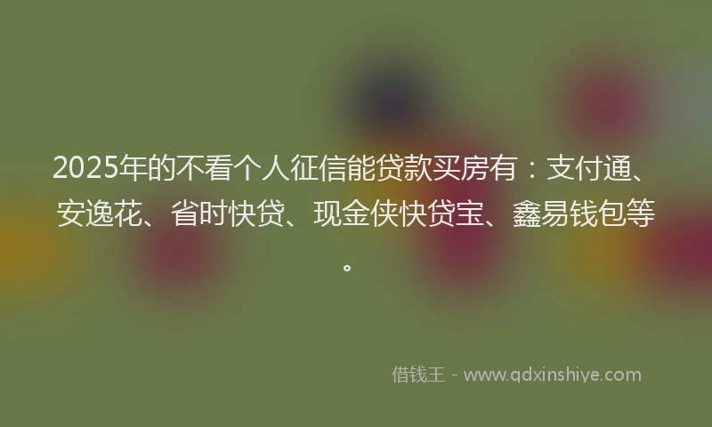 2025年的不看个人征信能贷款买房有：支付通、安逸花、省时快贷、现金侠快贷宝、鑫易钱包等。