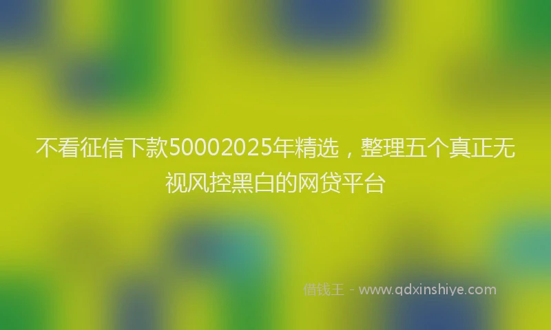 不看征信下款50002025年精选，整理五个真正无视风控黑白的网贷平台
