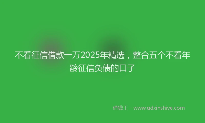 不看征信借款一万2025年精选，整合五个不看年龄征信负债的口子