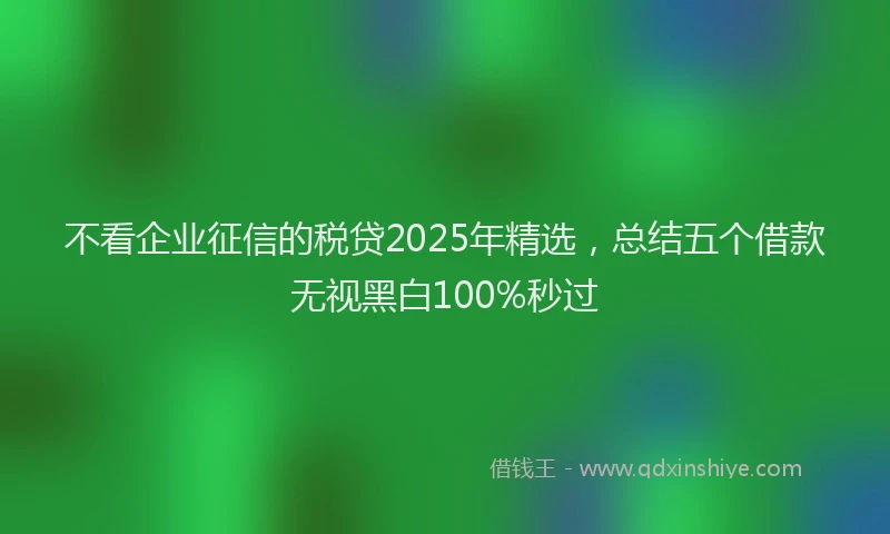 不看企业征信的税贷2025年精选，总结五个借款无视黑白100%秒过