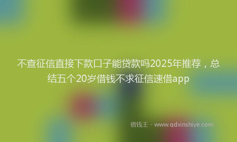 不查征信直接下款口子能贷款吗2025年推荐，总结五个20岁借钱不求征信速借app
