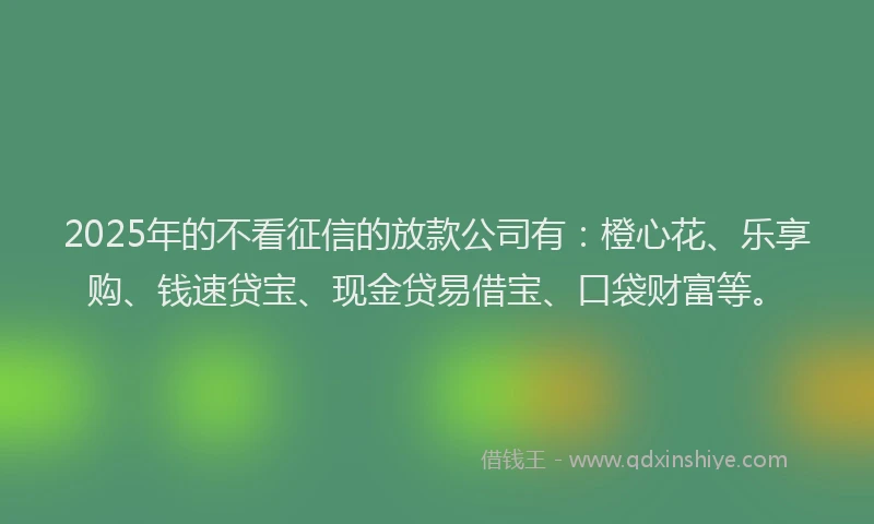 2025年的不看征信的放款公司有：橙心花、乐享购、钱速贷宝、现金贷易借宝、口袋财富等。