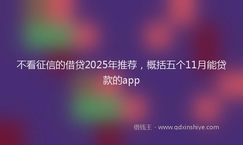 不看征信的借贷2025年推荐，概括五个11月能贷款的app