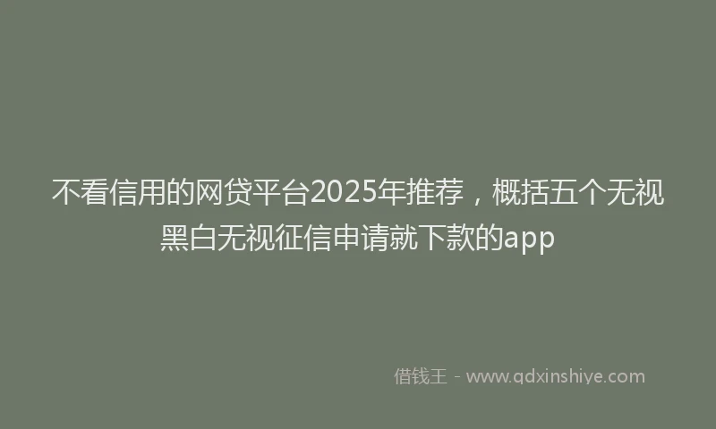 不看信用的网贷平台2025年推荐，概括五个无视黑白无视征信申请就下款的app