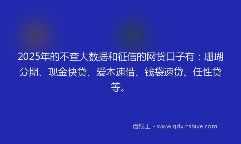 2025年的不查大数据和征信的网贷口子有：珊瑚分期、现金快贷、爱木速借、钱袋速贷、任性贷等。