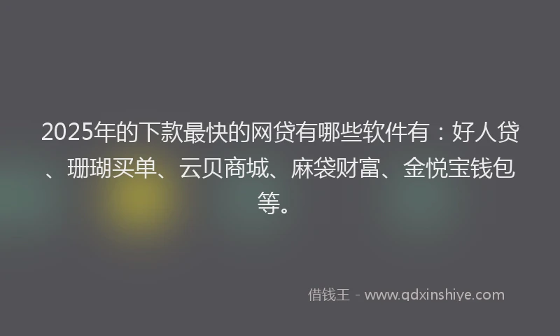 2025年的下款最快的网贷有哪些软件有：好人贷、珊瑚买单、云贝商城、麻袋财富、金悦宝钱包等。