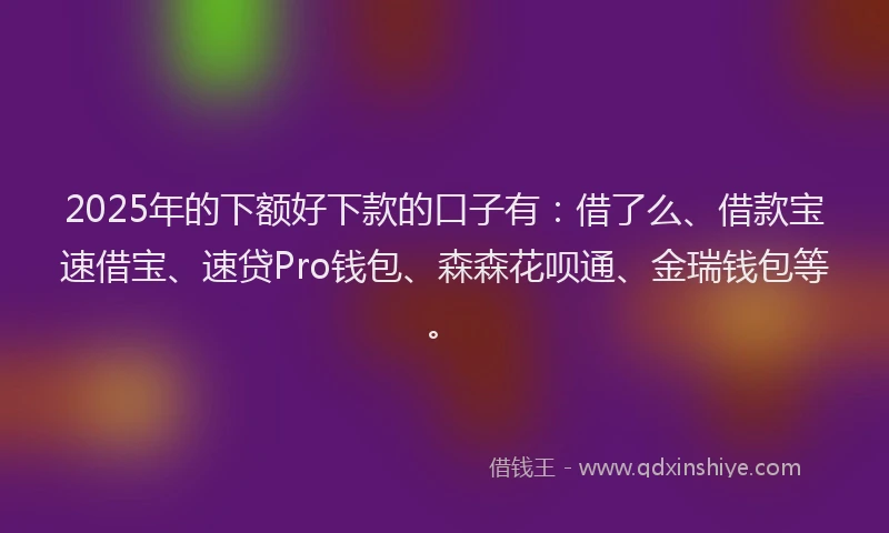 2025年的下额好下款的口子有：借了么、借款宝速借宝、速贷Pro钱包、森森花呗通、金瑞钱包等。