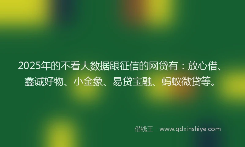 2025年的不看大数据跟征信的网贷有：放心借、鑫诚好物、小金象、易贷宝融、蚂蚁微贷等。