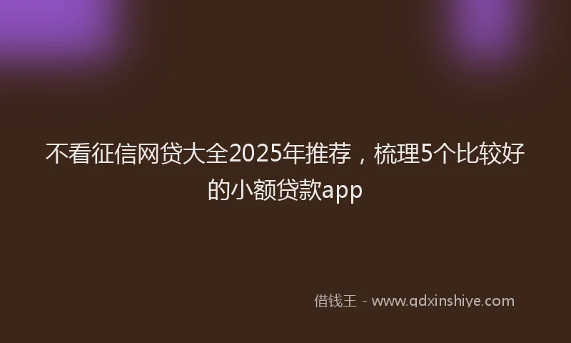 不看征信网贷大全2025年推荐，梳理5个比较好的小额贷款app