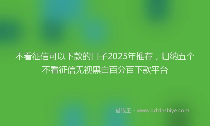 不看征信可以下款的口子2025年推荐，归纳五个不看征信无视黑白百分百下款平台