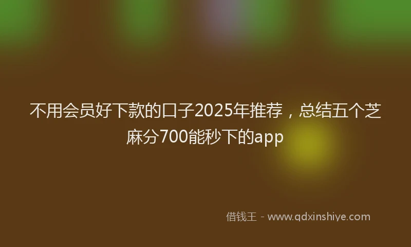 不用会员好下款的口子2025年推荐，总结五个芝麻分700能秒下的app