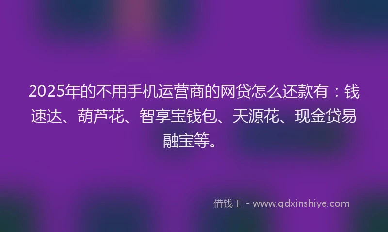 2025年的不用手机运营商的网贷怎么还款有：钱速达、葫芦花、智享宝钱包、天源花、现金贷易融宝等。