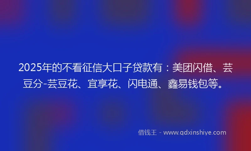 2025年的不看征信大口子贷款有：美团闪借、芸豆分-芸豆花、宜享花、闪电通、鑫易钱包等。