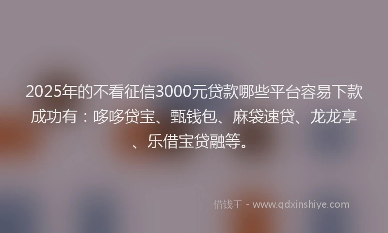 2025年的不看征信3000元贷款哪些平台容易下款成功有：哆哆贷宝、甄钱包、麻袋速贷、龙龙享、乐借宝贷融等。
