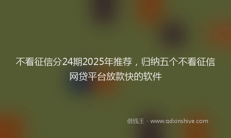 不看征信分24期2025年推荐，归纳五个不看征信网贷平台放款快的软件
