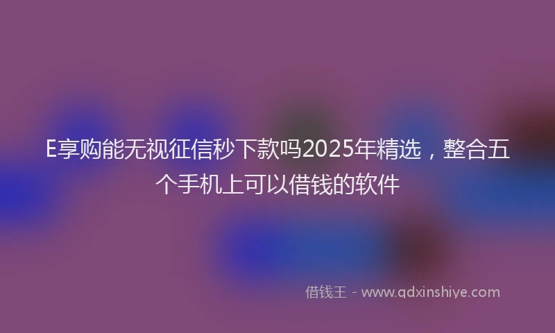 E享购能无视征信秒下款吗2025年精选，整合五个手机上可以借钱的软件