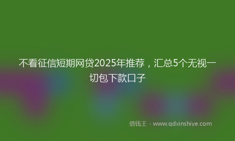 不看征信短期网贷2025年推荐，汇总5个无视一切包下款口子